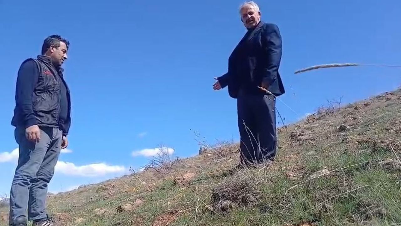 Ağlayan Gelin Rekor Cezayla Korunuyor