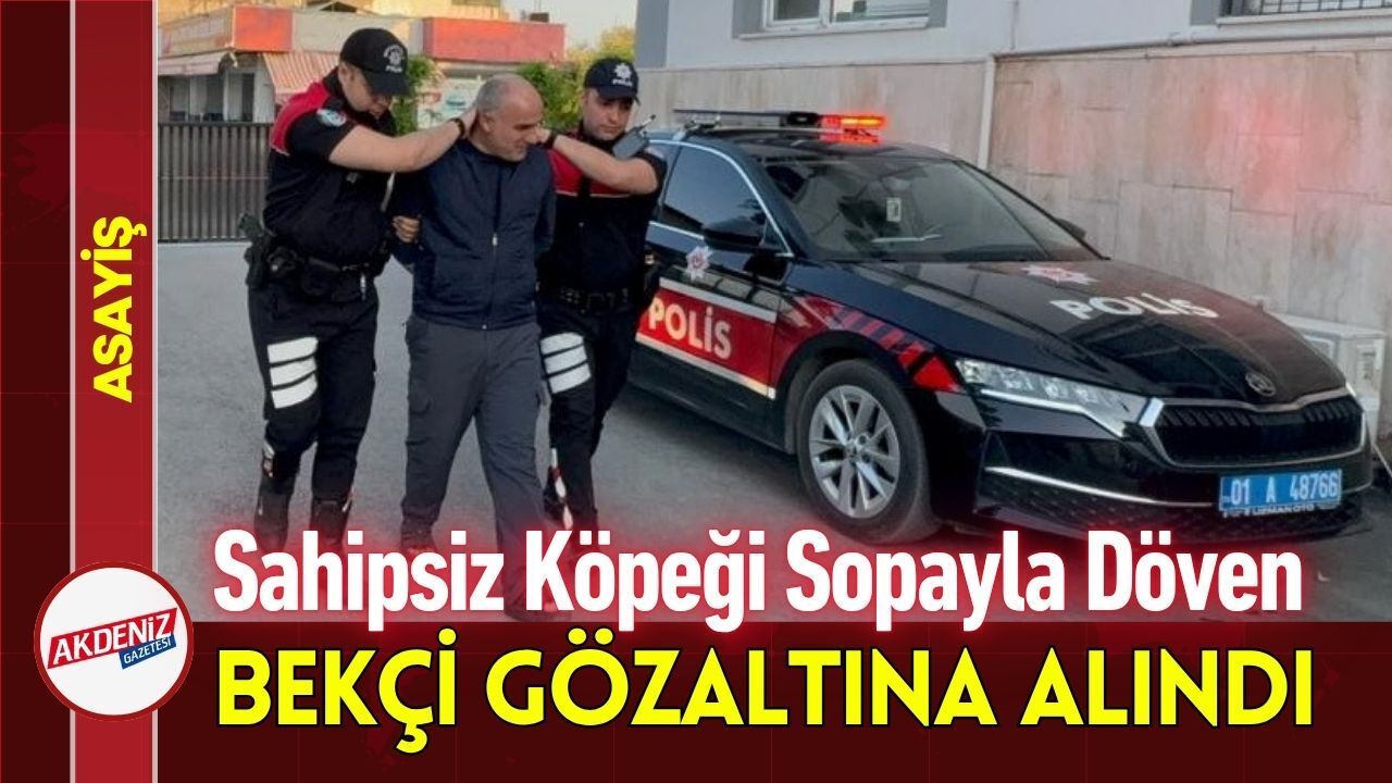 Sahipsiz Köpeği Sopayla Döven Bekçi Gözaltına Alındı