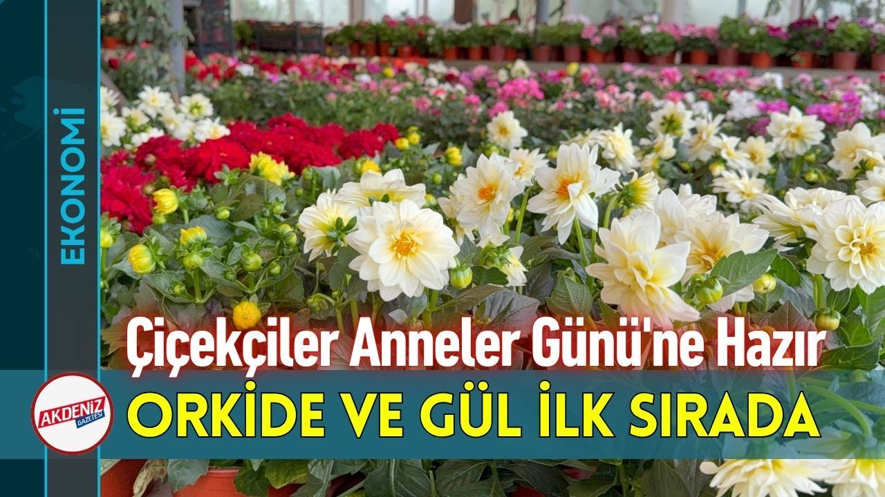 Çiçekçiler Anneler Günü'ne Hazır: Orkide ve Gül İlk Sırada