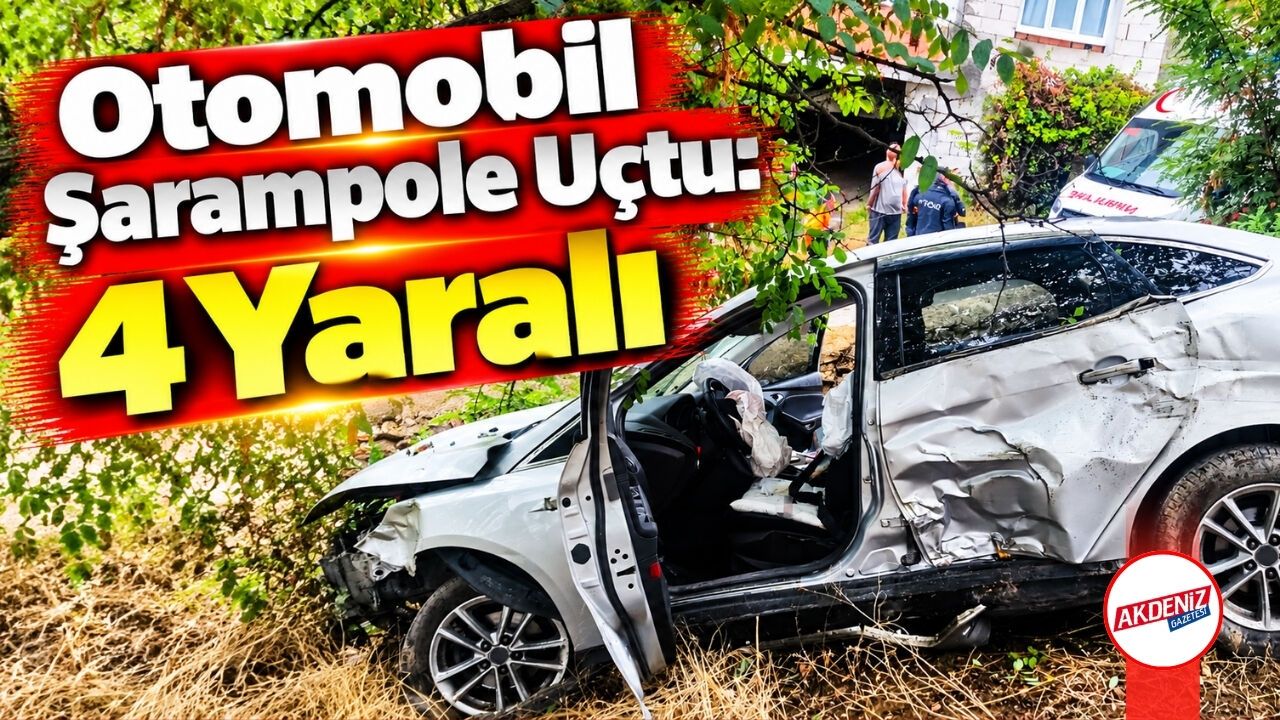 Bilecik'te şarampole devrilen araçtaki 4 kişi yaralandı