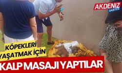 Köpekleri yaşatmak için kalp masajı yaptılar