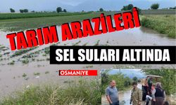 Osmaniye'de tarım arazileri sel suları altında kaldı