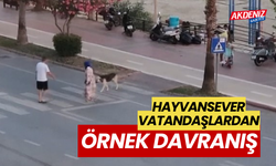 Hayvanseverlerden örnek davranış