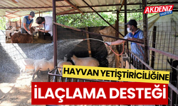 Hayvan yetiştiricilerine ilaçlama desteği