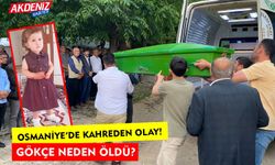 Osmaniye'de 5 yaşındaki Gökçe Erva Kınay, neden öldü?