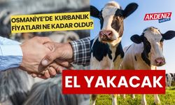 OSMANİYE'DE KURBANLIK FİYATLARI BELLİ OLDU