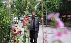 Kahramanmaraş'ta köyde yaşayan yaşlı adam, 60 yıldır bitki yetiştirip satıyor