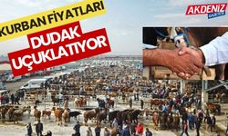 Kurban fiyatları dudak uçuklatıyor