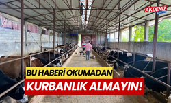 Bu haberi okumadan, kurbanlık almayın