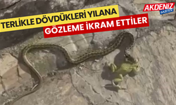 Yılan'ı avından ettikten sonra gözleme ikram ettiler