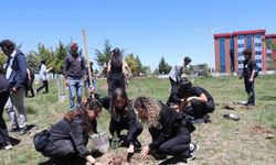 Mehmet Akif Ersoy Üniversitesi  öğrencileri, depremde kaybettikleri arkadaşlarını unutmadı