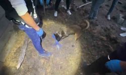 Polis köpeği Jessie, toprağa gömülü uyuşturucu madde buldu