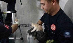 Yavru kediyi itfaiye ekipleri tarafından kurtarıldı