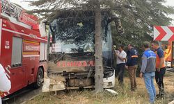 Yolcu otobüsü ağaca çarptı: 11 yaralı