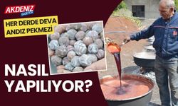 Her derde deva andız pekmezi nasıl yapılıyor?