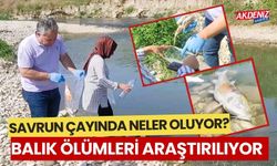 SAVRUN ÇAYINDAKİ BALIK ÖLÜMLERİ NEDEN OLUYOR?