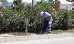 Hatay'da refüj ve kaldırımlarda temizlik çalışması yapıldı