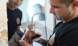 Havalandırma boşluğuna düşen yavru kedi kurtarıldı
