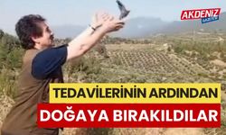 OSMANİYE'DE TEDAVİSİ TAMAMLANAN KUŞLAR DOĞAYA BIRKILDI