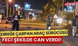 Direğe çarpan otomobil sürücüsü, feci şekilde can verdi