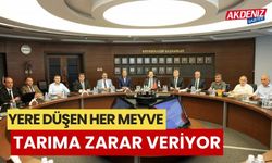 “Yere düşen her meyve tarıma zarar veriyor”