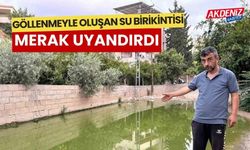 Göllenmeyle oluşan su birikintisi merak uyandırdı