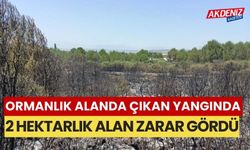 Ormanlık alanda yangın çıktı, 2 hektar alan zarar gördü