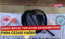 İzinsiz böcek toplayan Rus akademisyene para cezası yağdı