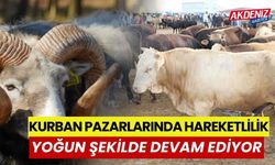 Kurban pazarlarında hareketlilik, yoğun şekilde devam ediyor