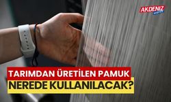 Tarımdan elde edilecek pamuk nerede kullanılacak