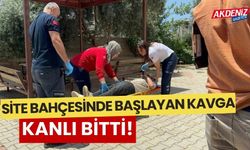 Site bahçesinde başlayan kavga kanlı bitti