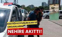 Koyunu kesti kan ve dışkısını nehire akıttı