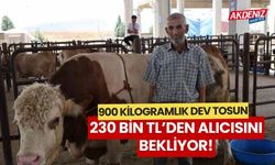 Kurban pazarının en değerlisi, 230 bin TL'den alıcısını bekliyor