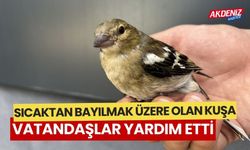 Sıcaktan bitkin düşen kuş yavrusu vatandaşın yardımıyla canlandı