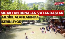 Sıcaktan bunalan vatandaşlar, Kahramanmaraş'ın mesire alanlarında serinliyor