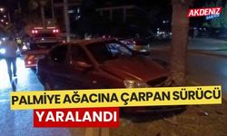 Palmiye ağacına çarpan otomobil sürücüsü yaralandı