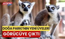 Doğa Parkı’nın yeni üyeleri görücüye çıktı