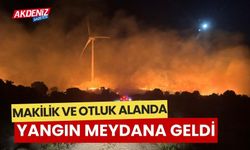 İzmir'de otluk alanda çıkan yangın kontrol altına alındı