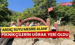 ‘Ardıç suyu mesire alanı’ piknikçilerin uğrak yeri oldu