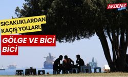 Sıcaklıklardan Kaçış Yolları: Gölge ve Bici Bici