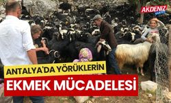 ANTALYA'DA YÖRÜKLERİN EKMEK MÜCADELESİ