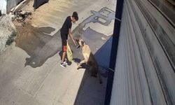 Beslediği sokak köpeği küçük çocuğa saldırdı
