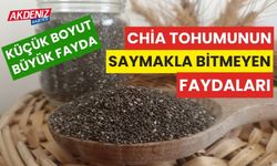 Chia tohumunun saymakla bitmeyen faydaları neler?