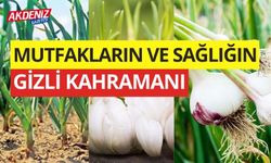 Mutfakların ve Sağlığın Gizli Kahramanı