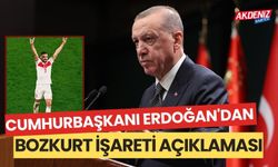 Cumhurbaşkanı Erdoğan'dan Bozkurt işareti açıklaması