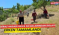 Kiraz hasadı sıcak havalardan dolayı erken tamamlattı