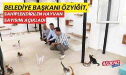 Belediye Başkanı Özyiğit, sahiplendirilen hayvan sayısını açıkladı