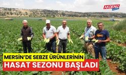 Mersin'de sebze ürünlerinin hasat sezonu başladı