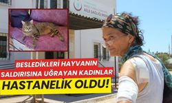 Besledikleri hayvanın saldırısına uğrayan kadınlar hastanelik oldu