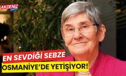 En sevdiği sebze, Osmaniye'de yetişiyor